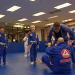 Everything You Need to Know About Brazilian Jiu-Jitsu