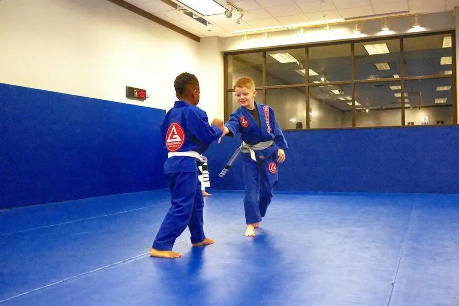 Kids Jiu-Jitsu Program Checklist: What Parents Should Look For